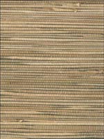 Grasscloth Wallpaper NA033 by Astek Wallpaper for sale at Wallpapers To Go