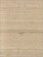 Grasscloth Wallpaper NB171 by Astek Wallpaper for sale at Wallpapers To Go