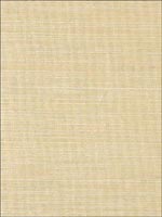 Grasscloth Wallpaper ND1000 by Astek Wallpaper for sale at Wallpapers To Go