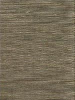 Grasscloth Wallpaper ND1025 by Astek Wallpaper for sale at Wallpapers To Go