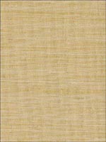 Grasscloth Wallpaper NE1041 by Astek Wallpaper for sale at Wallpapers To Go