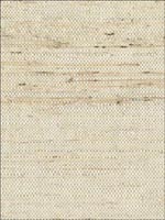 Grasscloth Wallpaper NJ057 by Astek Wallpaper for sale at Wallpapers To Go