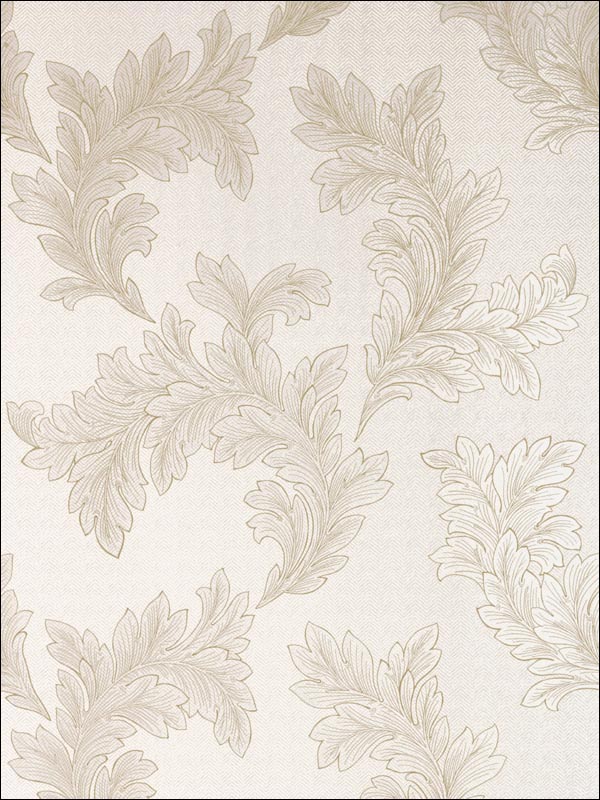 Eland Acanthus Pearl on White Wallpaper T1055 by Thibaut Wallpaper for sale at Wallpapers To Go