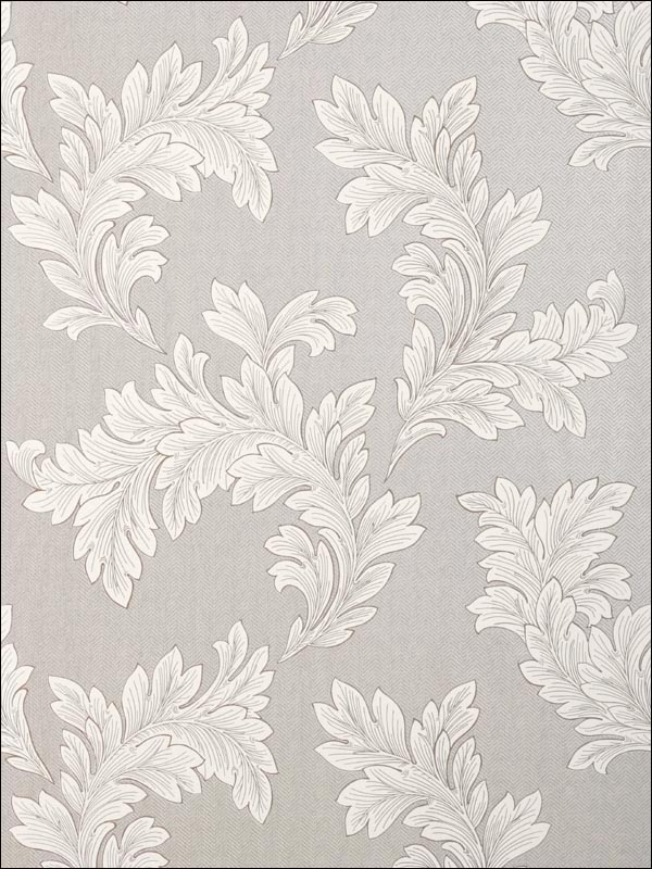 Eland Acanthus Grey on Metallic Silver Wallpaper T1057 by Thibaut Wallpaper for sale at Wallpapers To Go