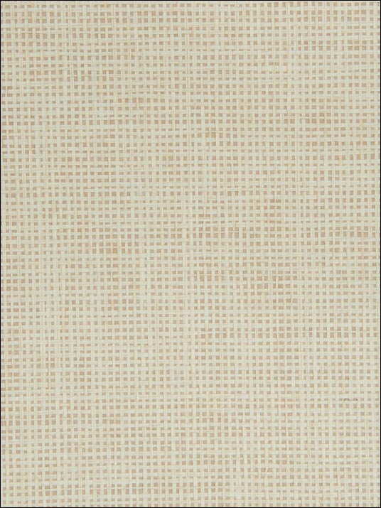 Grasscloth Wallpaper W322316 by Kravet Wallpaper for sale at Wallpapers To Go