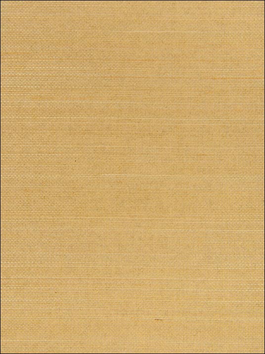 Grasscloth Wallpaper W32494 by Kravet Wallpaper for sale at Wallpapers To Go