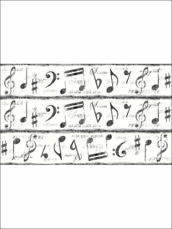 Music Note Border TH31350B by Pelican Prints Wallpaper for sale at Wallpapers To Go
