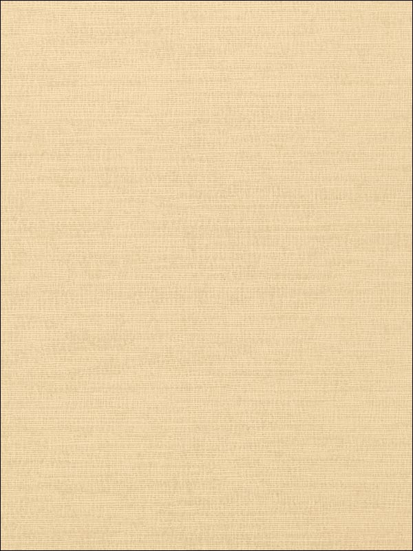 Coastal Sisal Sand Wallpaper T14109 by Thibaut Wallpaper for sale at Wallpapers To Go