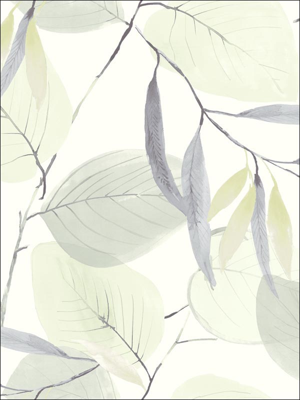 Ivory Wallpaper CB91404 by Seabrook Designer Series Wallpaper for sale at Wallpapers To Go