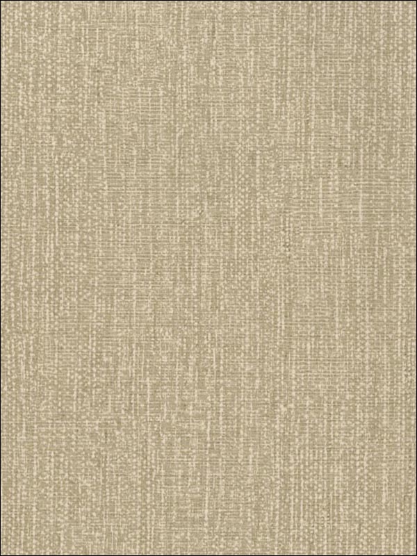 Grasscloth Taupe Wallpaper AMW1003223 by Andrew Martin Wallpaper for sale at Wallpapers To Go
