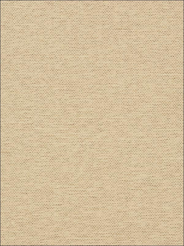 Adriatic Beige and Black Wallpaper T41129 by Thibaut Wallpaper for sale at Wallpapers To Go