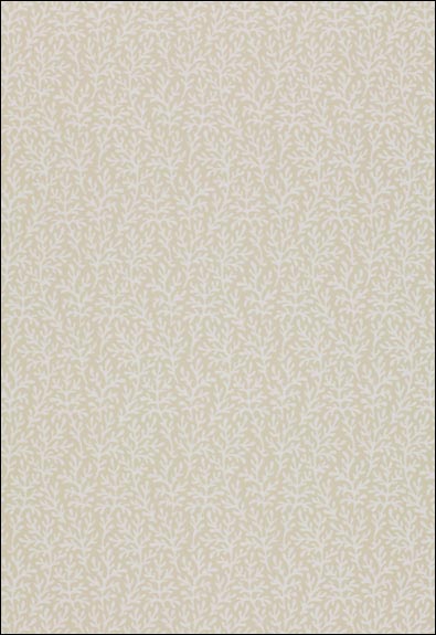 Sea Coral Bone Wallpaper 5004730 by Schumacher Wallpaper for sale at Wallpapers To Go