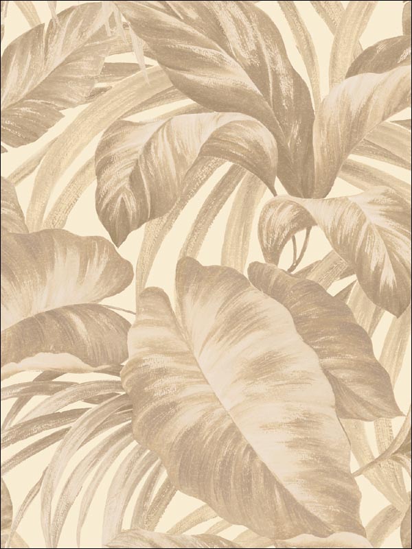 Greene Leaves Wallpaper AE30207 by Seabrook Wallpaper for sale at Wallpapers To Go