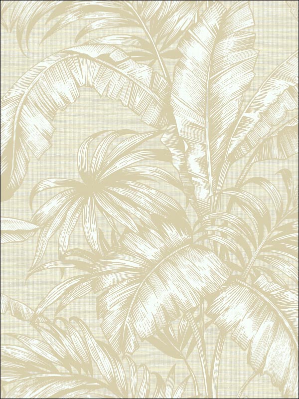 Tropical Leaves Wallpaper SG41405 by Pelican Prints Wallpaper for sale at Wallpapers To Go