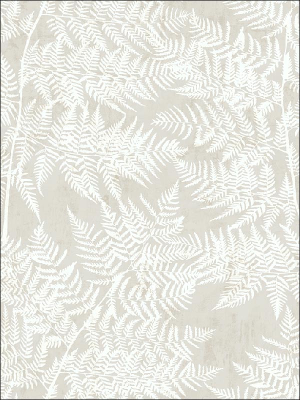 Fern Leaf Wallpaper SG41608 by Pelican Prints Wallpaper for sale at Wallpapers To Go