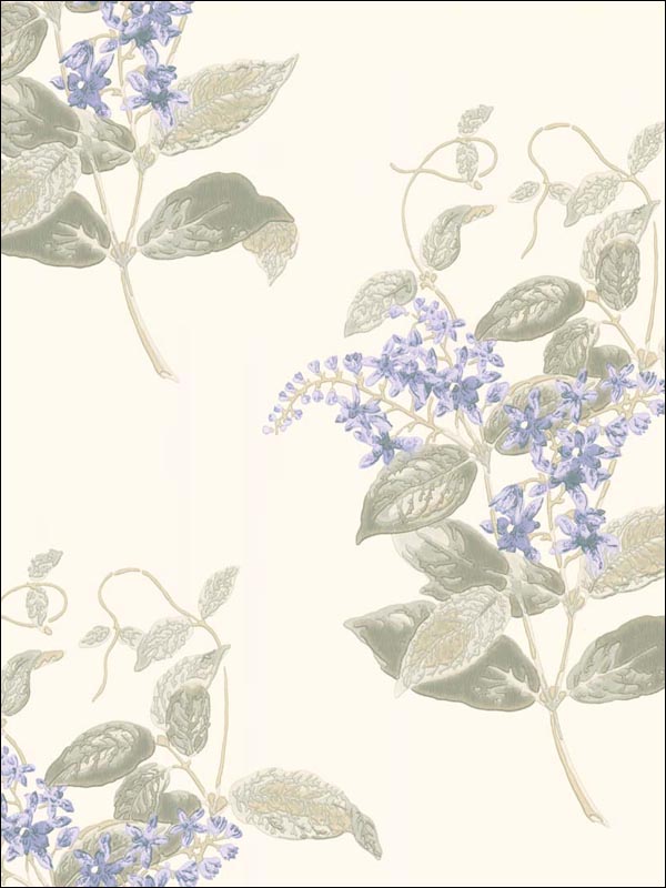 Madras Violet Violet an Grey Wallpaper 10012057 by Cole and Son Wallpaper for sale at Wallpapers To Go