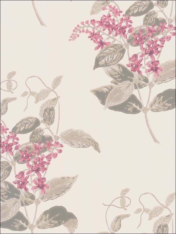 Madras Violet Pink Wallpaper 10012058 by Cole and Son Wallpaper for sale at Wallpapers To Go