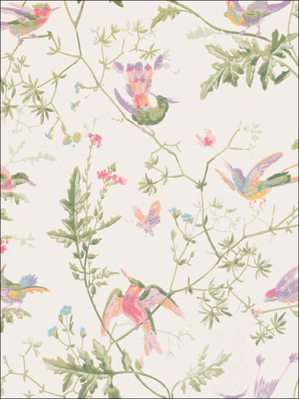 Hummingbirds Soft Multi Color Wallpaper 10014067 by Cole and Son Wallpaper for sale at Wallpapers To Go
