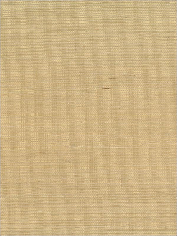 Sisal Wallpaper NA211 by Seabrook Wallpaper for sale at Wallpapers To Go