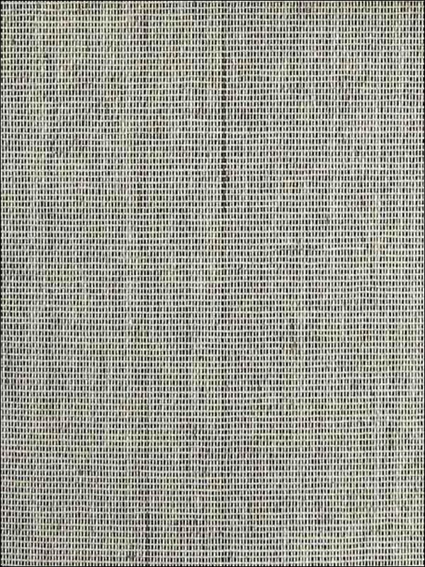 Paperweave Light Grey on Black Wallpaper WND219 by Astek Wallpaper for sale at Wallpapers To Go