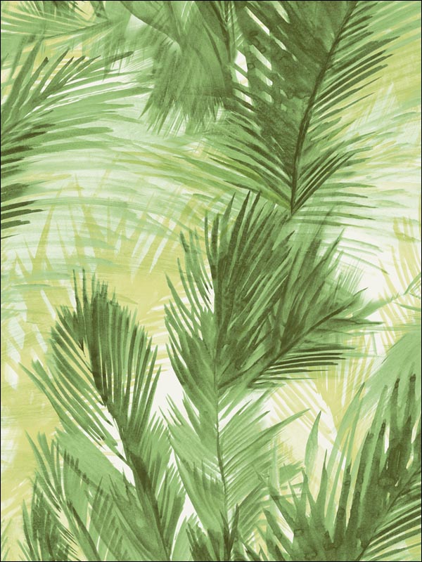 Palm Leaves Wallpaper BL40104 by Pelican Prints Wallpaper for sale at Wallpapers To Go