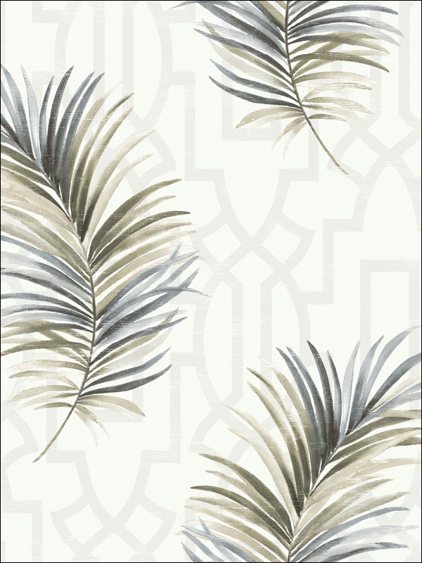 Palm Leaves Trellis Wallpaper BL41000 by Pelican Prints Wallpaper for sale at Wallpapers To Go