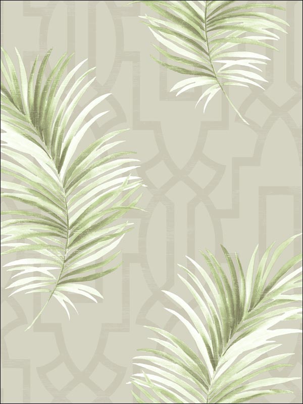 Palm Leaves Trellis Wallpaper BL41004 by Pelican Prints Wallpaper for sale at Wallpapers To Go