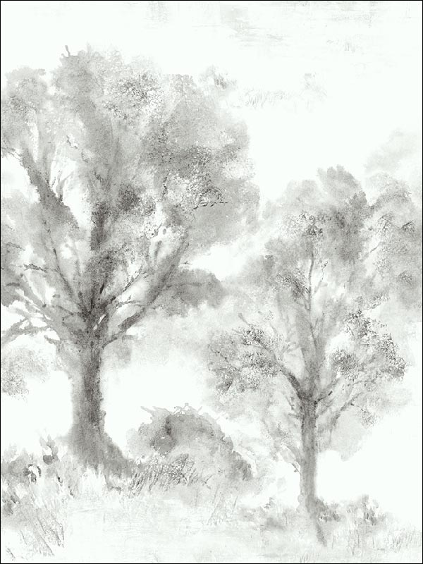 Trees Watercolor Wallpaper JA31300 by Pelican Prints Wallpaper for sale at Wallpapers To Go