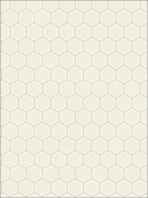 Curie Geo White and Silver Wallpaper AV51210 by Seabrook Wallpaper for sale at Wallpapers To Go