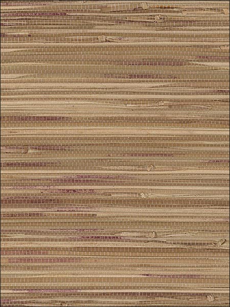 Fine Boodle Tan Red Wallpaper 488405 by Patton Wallpaper for sale at Wallpapers To Go