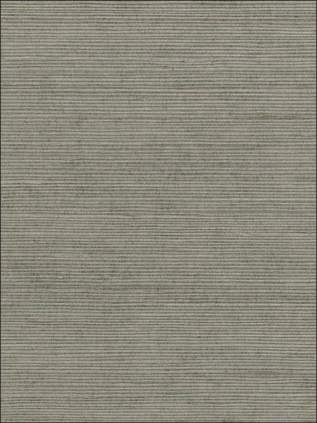 Extra Fine Sisal Grey Wallpaper 488410 by Patton Wallpaper for sale at Wallpapers To Go