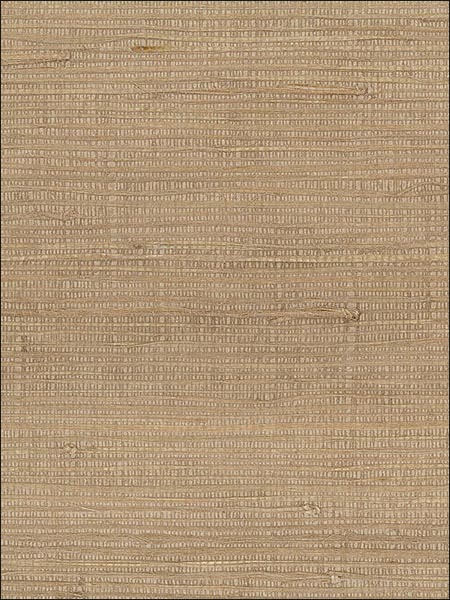 Pearl Coated Raw Jute Beige Wallpaper 488419 by Patton Wallpaper for sale at Wallpapers To Go