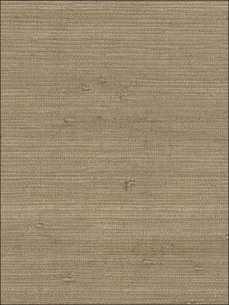 Fine Jute Cream Taupe Wallpaper 488431 by Patton Wallpaper for sale at Wallpapers To Go