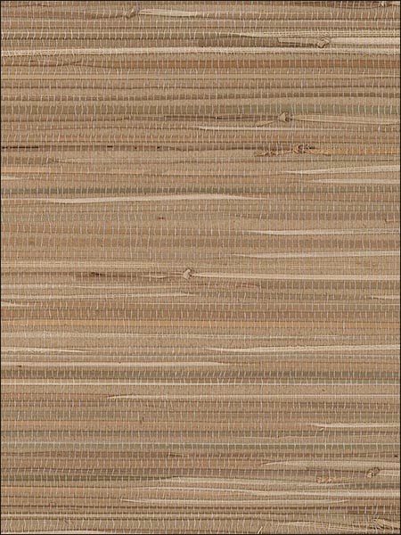 Regular Boodle Cream Brown Green Wallpaper 488435 by Patton Wallpaper for sale at Wallpapers To Go