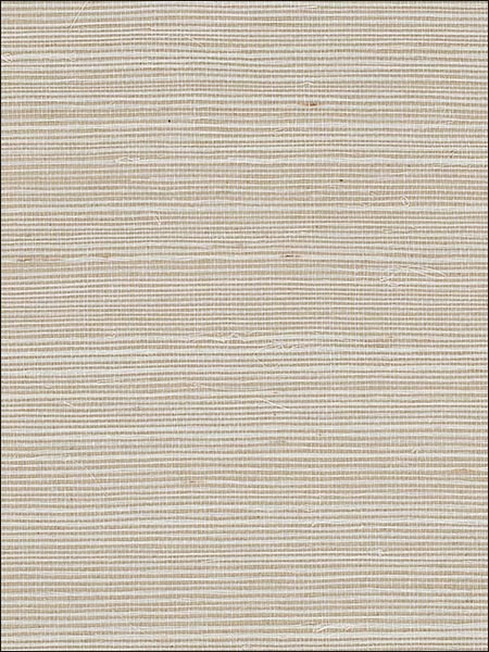 Fine Sisal Cream Wallpaper 488444 by Patton Wallpaper for sale at Wallpapers To Go