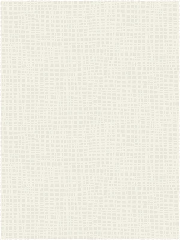 Woven Grass Faux Finish Wallpaper BW21201 by Paper and Ink Wallpaper for sale at Wallpapers To Go
