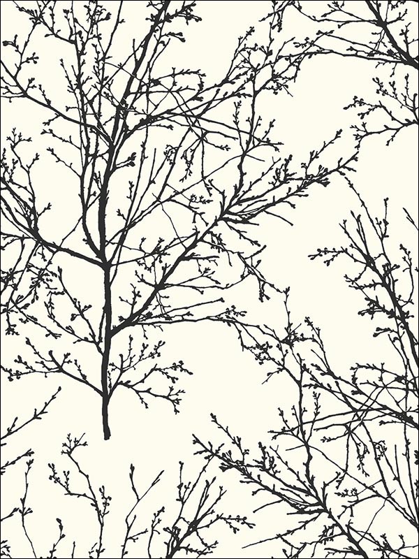 Winter Branches Wallpaper BW22400 by Paper and Ink Wallpaper for sale at Wallpapers To Go