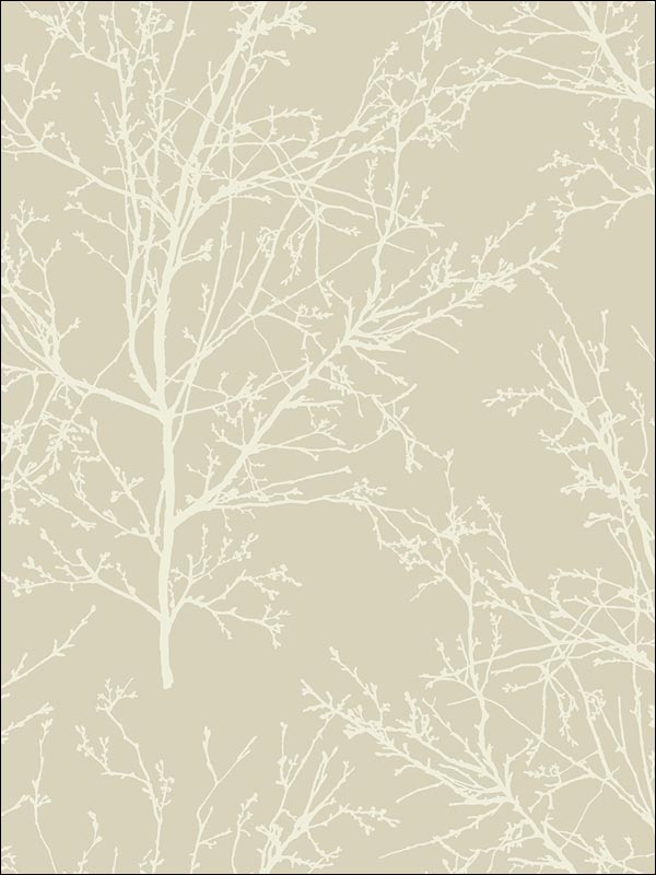 Winter Branches Wallpaper BW22408 by Paper and Ink Wallpaper for sale at Wallpapers To Go