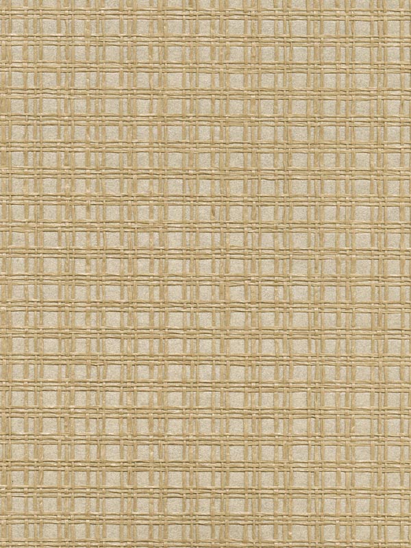 Tomek Beige Paper Weave Wallpaper 262230220 by Kenneth James Wallpaper for sale at Wallpapers To Go