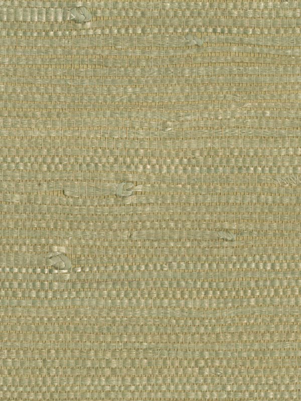 Martina Beige Grasscloth Wallpaper 262254726 by Kenneth James Wallpaper for sale at Wallpapers To Go