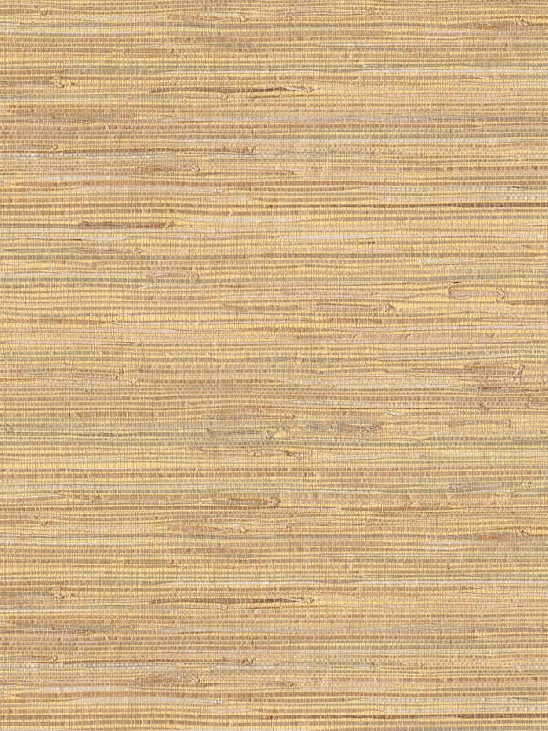 Daria Beige Grasscloth Wallpaper 262265622 by Kenneth James Wallpaper for sale at Wallpapers To Go