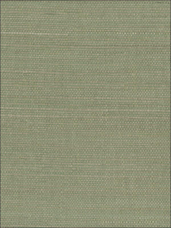 Kenjitsu Mint Grasscloth Wallpaper 269330228 by Kenneth James Wallpaper for sale at Wallpapers To Go