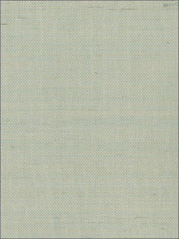 Mugen Light Green Grasscloth Wallpaper 269330232 by Kenneth James Wallpaper for sale at Wallpapers To Go