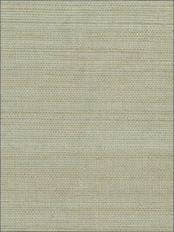 Myoki Neutral Grasscloth Wallpaper 269330237 by Kenneth James Wallpaper for sale at Wallpapers To Go