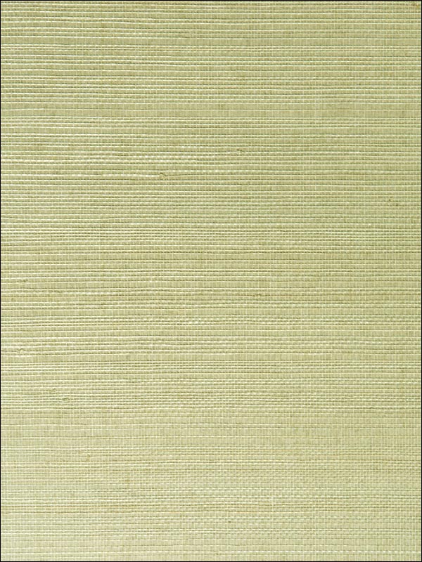 Mutei Sage Grasscloth Wallpaper 269354748 by Kenneth James Wallpaper for sale at Wallpapers To Go