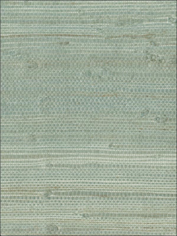Myogen Golden Green Grasscloth Wallpaper 269365609 by Kenneth James Wallpaper for sale at Wallpapers To Go
