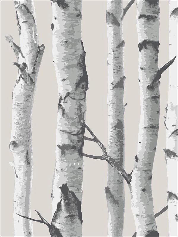 Birch Tree Peel And Stick Wallpaper NU1650 by Brewster Wallpaper for sale at Wallpapers To Go