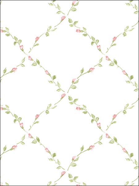 Trellis Wallpaper PP27726 by Norwall Wallpaper for sale at Wallpapers To Go