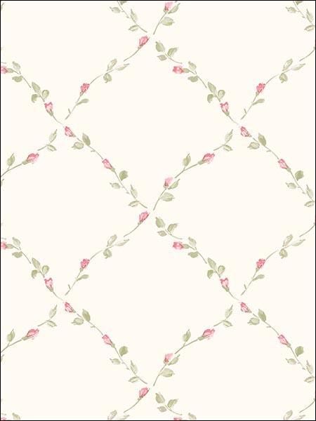 Trellis Floral Wallpaper PP35523 by Norwall Wallpaper for sale at Wallpapers To Go