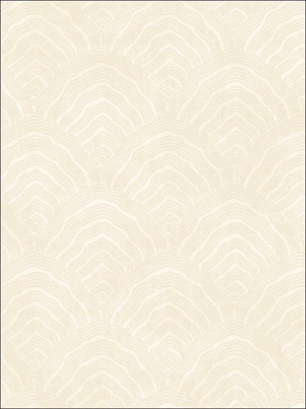 Seashells Abstract Wallpaper AI41505 by Seabrook Wallpaper for sale at Wallpapers To Go